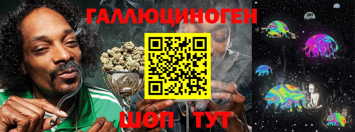 Галлюциногенные грибы Psilocybine cubensis Минеральные Воды